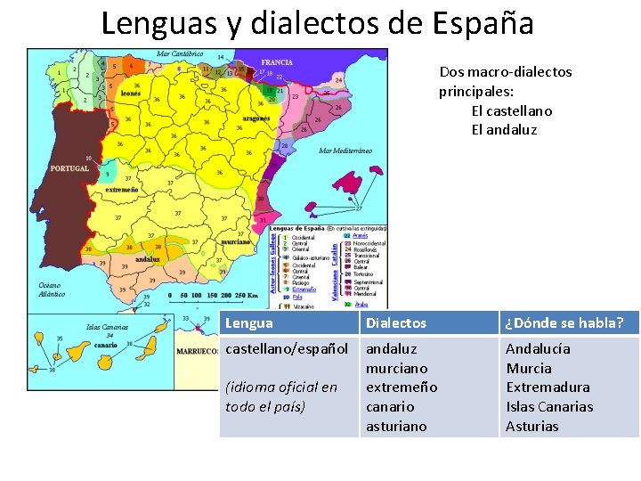 Lenguas y dialectos de España Dos macro-dialectos principales: El castellano El andaluz Lengua Dialectos