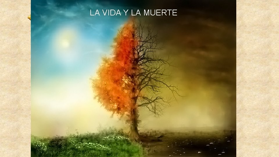 LA VIDA Y LA MUERTE 