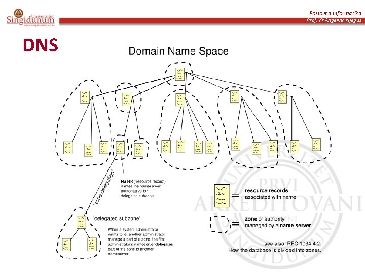 Poslovna informatika Prof. dr Angelina Njeguš DNS 