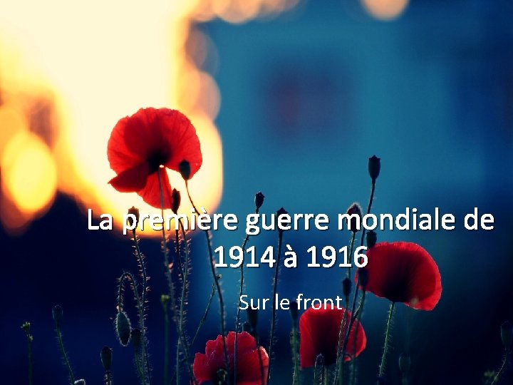 La première guerre mondiale de 1914 à 1916 Sur le front 