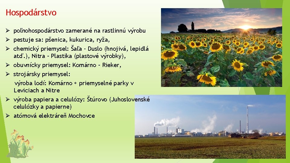 Hospodárstvo Ø poľnohospodárstvo zamerané na rastlinnú výrobu Ø pestuje sa: pšenica, kukurica, ryža, Ø