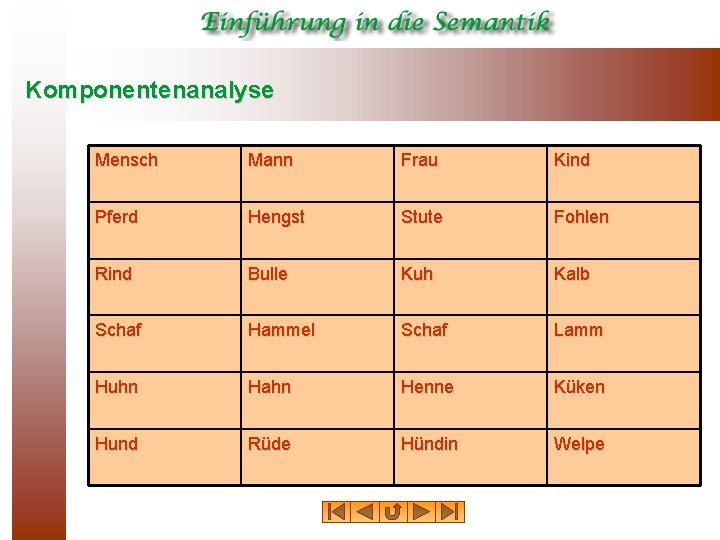 Komponentenanalyse Mensch Mann Frau Kind Pferd Hengst Stute Fohlen Rind Bulle Kuh Kalb Schaf