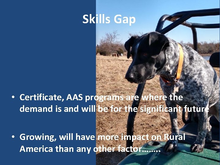 Skills Gap • Certificate, AAS programs are where the demand is and will be