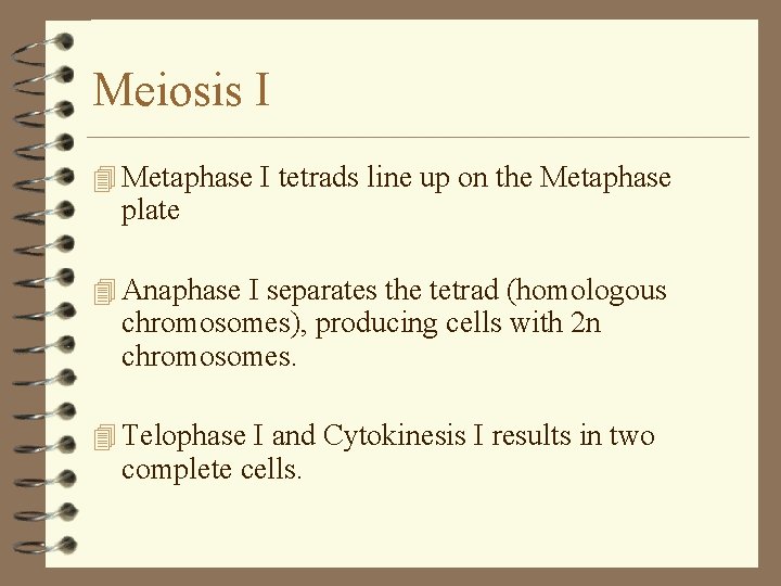 Meiosis I 4 Metaphase I tetrads line up on the Metaphase plate 4 Anaphase Meiosis I 4 Metaphase I tetrads line up on the Metaphase plate 4 Anaphase