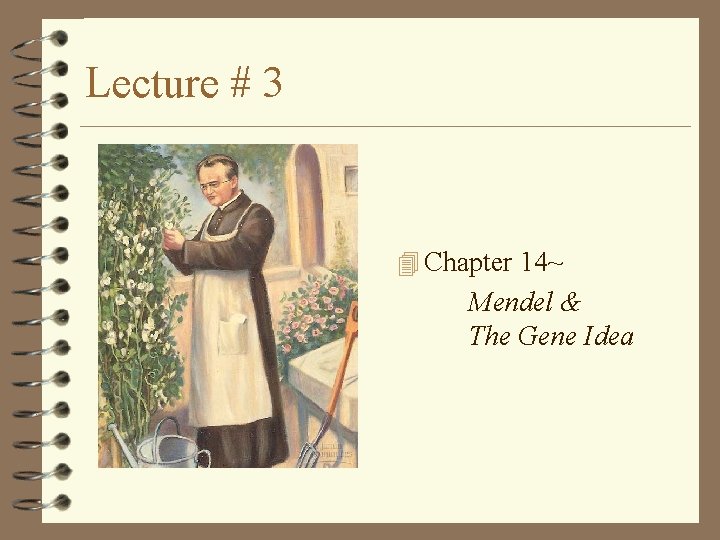 Lecture # 3 4 Chapter 14~ Mendel & The Gene Idea Lecture # 3 4 Chapter 14~ Mendel & The Gene Idea