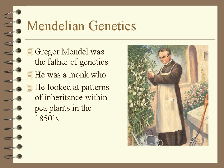 Mendelian Genetics 4 Gregor Mendel was the father of genetics 4 He was a Mendelian Genetics 4 Gregor Mendel was the father of genetics 4 He was a