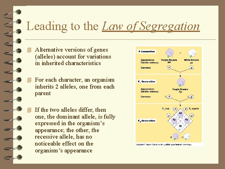 Leading to the Law of Segregation 4 Alternative versions of genes (alleles) account for Leading to the Law of Segregation 4 Alternative versions of genes (alleles) account for