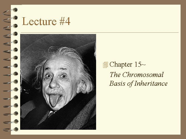 Lecture #4 4 Chapter 15~ The Chromosomal Basis of Inheritance Lecture #4 4 Chapter 15~ The Chromosomal Basis of Inheritance