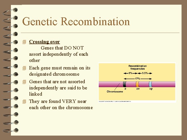 Genetic Recombination 4 Crossing over Genes that DO NOT assort independently of each other Genetic Recombination 4 Crossing over Genes that DO NOT assort independently of each other