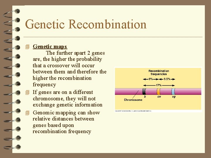Genetic Recombination 4 Genetic maps The further apart 2 genes are, the higher the Genetic Recombination 4 Genetic maps The further apart 2 genes are, the higher the