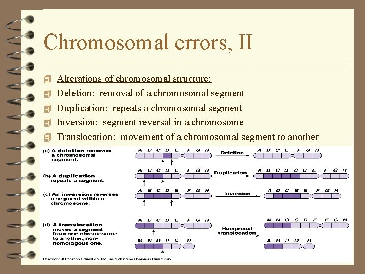 Chromosomal errors, II 4 Alterations of chromosomal structure: 4 Deletion: removal of a chromosomal Chromosomal errors, II 4 Alterations of chromosomal structure: 4 Deletion: removal of a chromosomal