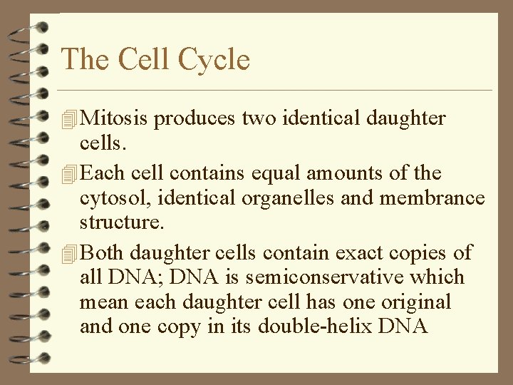The Cell Cycle 4 Mitosis produces two identical daughter cells. 4 Each cell contains The Cell Cycle 4 Mitosis produces two identical daughter cells. 4 Each cell contains