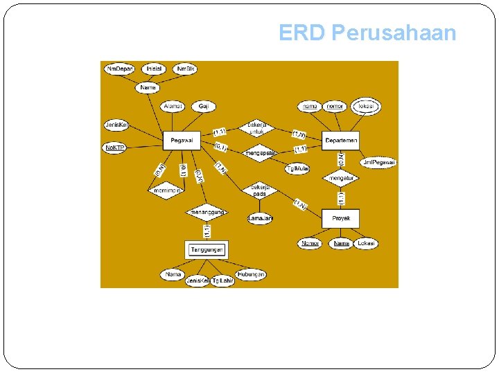 ERD Perusahaan 