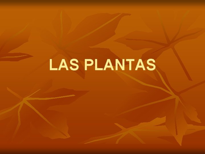 LAS PLANTAS 