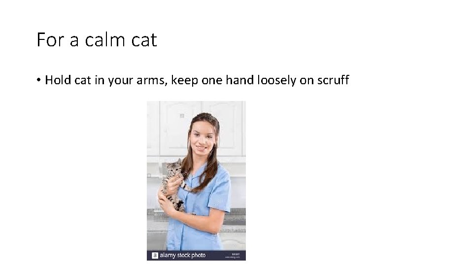 For a calm cat • Hold cat in your arms, keep one hand loosely