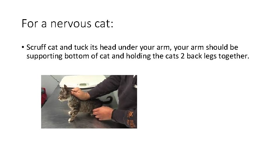 For a nervous cat: • Scruff cat and tuck its head under your arm,