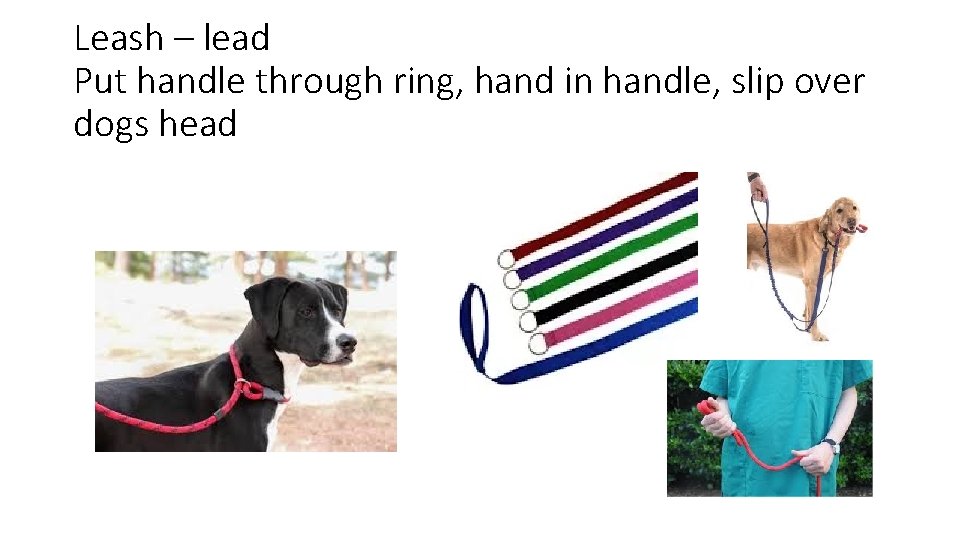 Leash – lead Put handle through ring, hand in handle, slip over dogs head