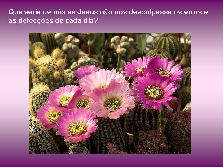 Que seria de nós se Jesus não nos desculpasse os erros e as defecções