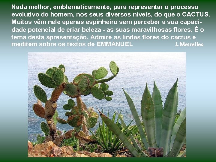 Nada melhor, emblematicamente, para representar o processo evolutivo do homem, nos seus diversos níveis,