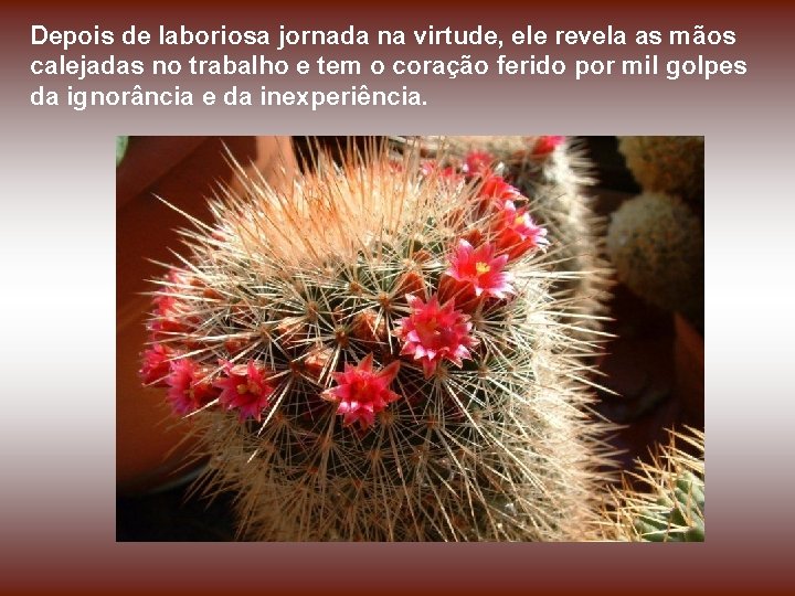 Depois de laboriosa jornada na virtude, ele revela as mãos calejadas no trabalho e