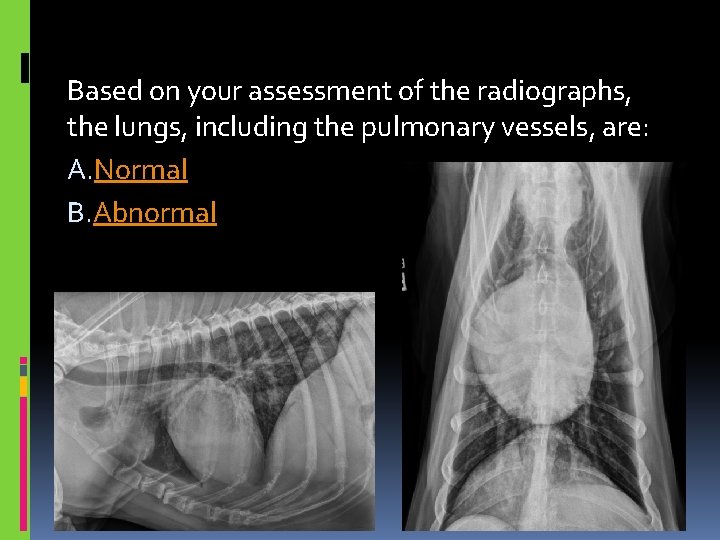 Based on your assessment of the radiographs, the lungs, including the pulmonary vessels, are: