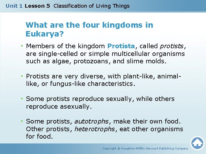 Unit 1 Lesson 5 Classification of Living Things What are the four kingdoms in