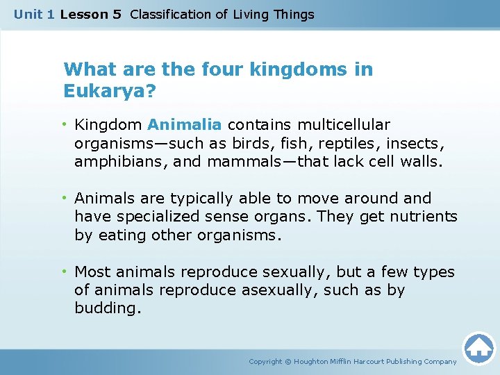 Unit 1 Lesson 5 Classification of Living Things What are the four kingdoms in