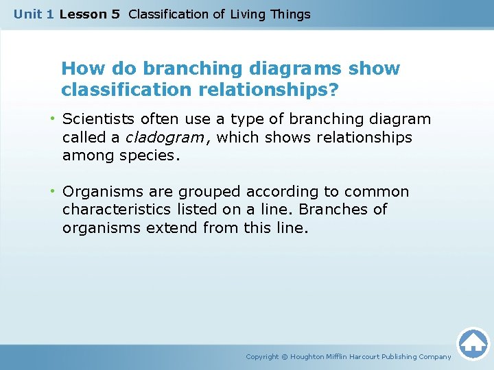 Unit 1 Lesson 5 Classification of Living Things How do branching diagrams show classification