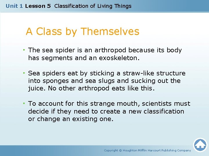 Unit 1 Lesson 5 Classification of Living Things A Class by Themselves • The