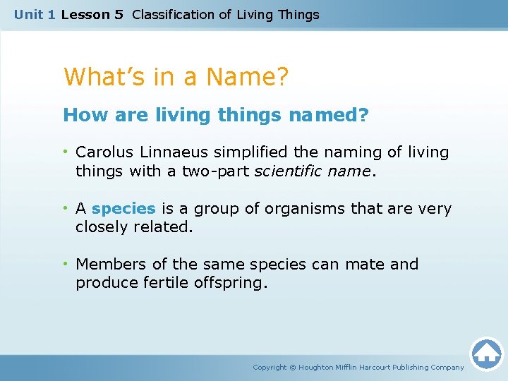Unit 1 Lesson 5 Classification of Living Things What’s in a Name? How are
