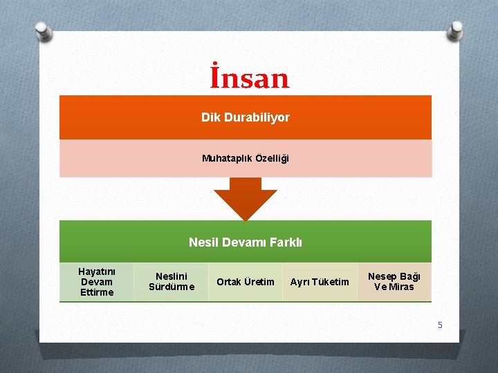 İnsan Dik Durabiliyor Muhataplık Özelliği Nesil Devamı Farklı Hayatını Devam Ettirme Neslini Sürdürme Ortak