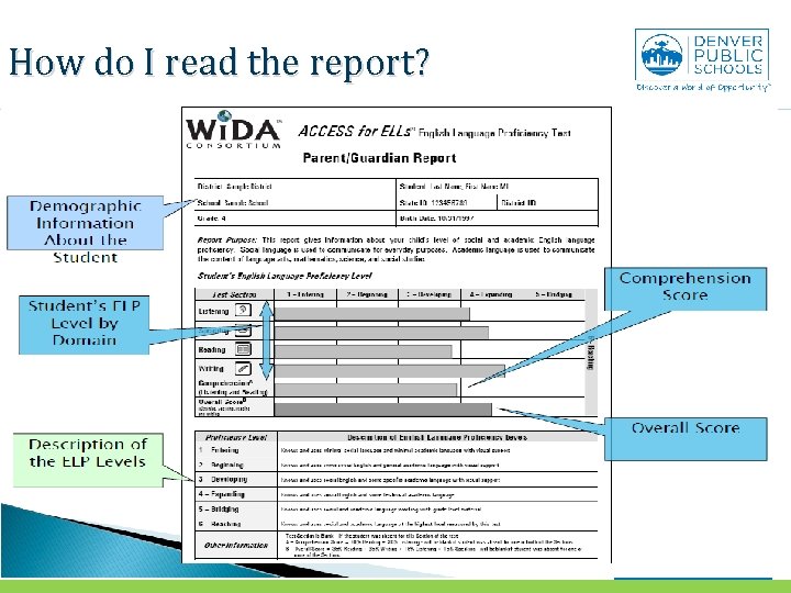How do I read the report? ENGLISH LANGUAGE ACQUISITION 