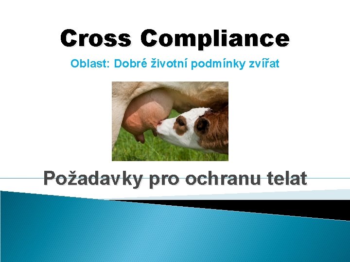 Cross Compliance Oblast: Dobré životní podmínky zvířat Požadavky pro ochranu telat 