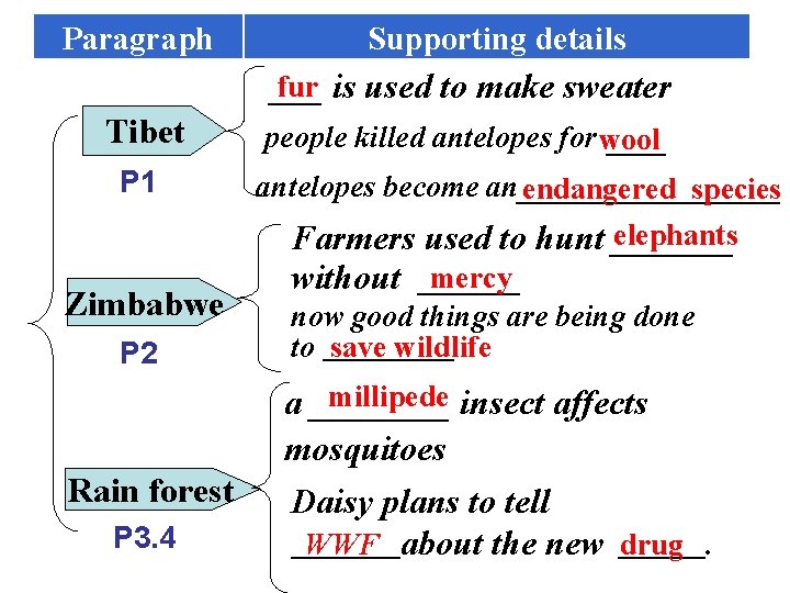 Paragraph Tibet P 1 Zimbabwe P 2 Rain forest P 3. 4 Supporting details