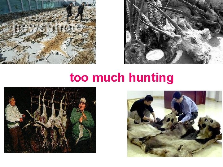 too much hunting 
