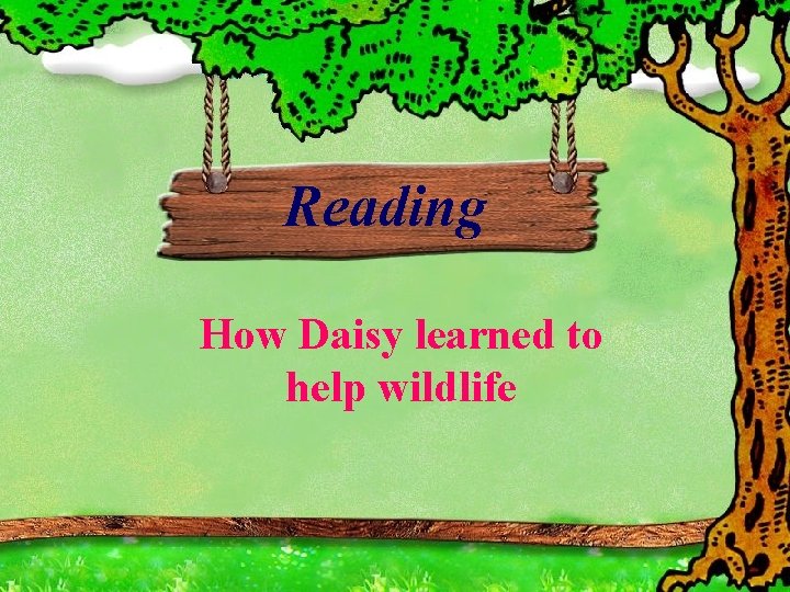 Reading How Daisy learned to help wildlife 