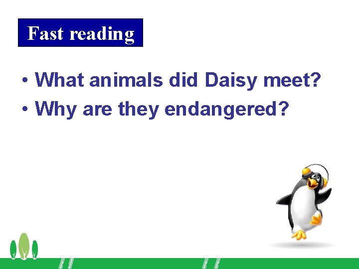 Fast reading • What animals did Daisy meet? • Why are they endangered? 