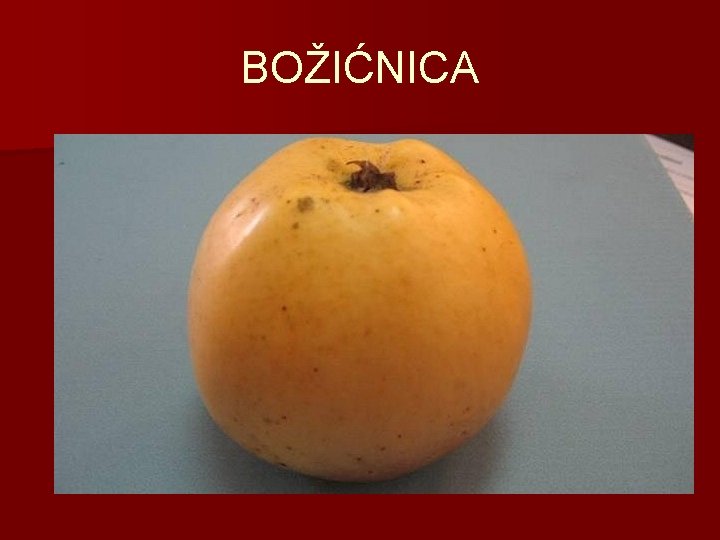 BOŽIĆNICA 