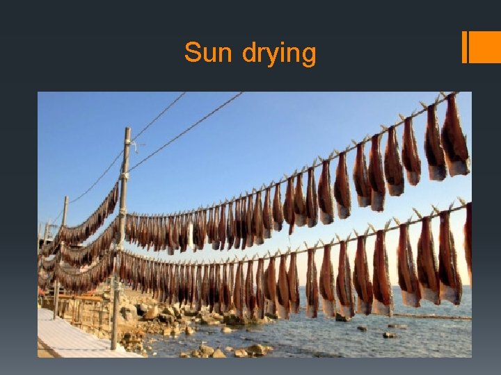 Sun drying Sun drying