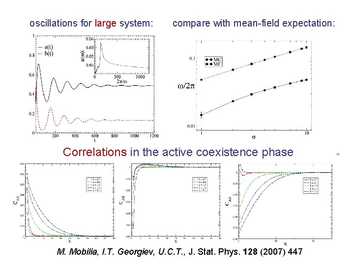 oscillations for large system: compare with mean-field expectation: Correlations in the active coexistence phase