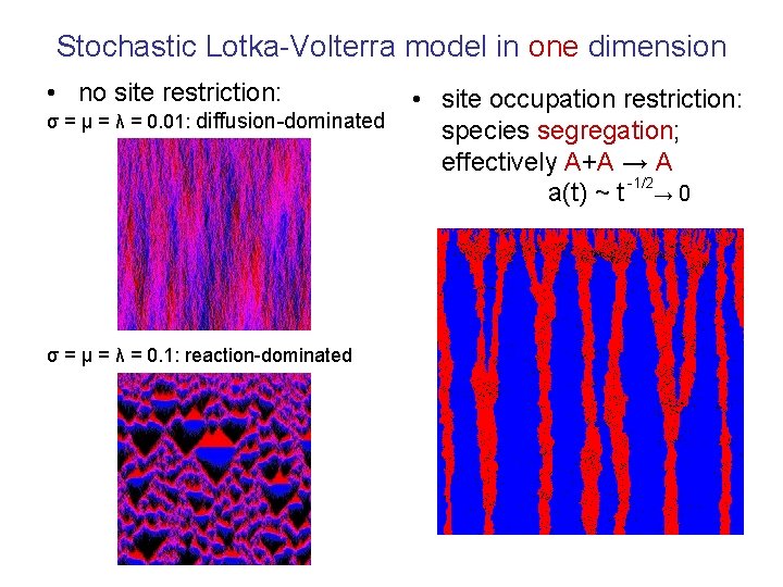 Stochastic Lotka-Volterra model in one dimension • no site restriction: • site occupation restriction: