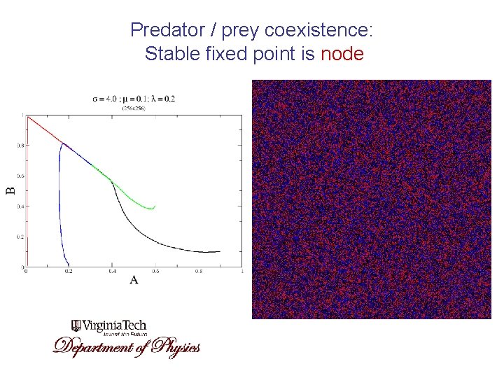 Predator / prey coexistence: Stable fixed point is node 