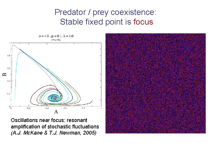 Predator / prey coexistence: Stable fixed point is focus Oscillations near focus: resonant amplification