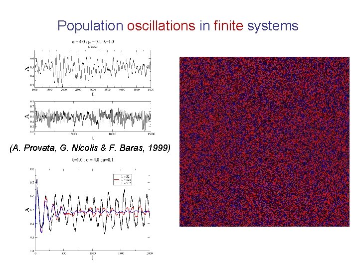 Population oscillations in finite systems (A. Provata, G. Nicolis & F. Baras, 1999) 