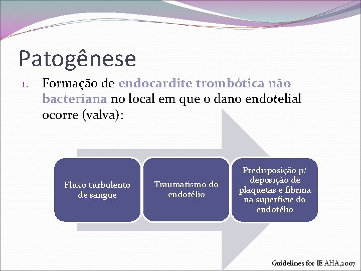 Patogênese 1. Formação de endocardite trombótica não bacteriana no local em que o dano