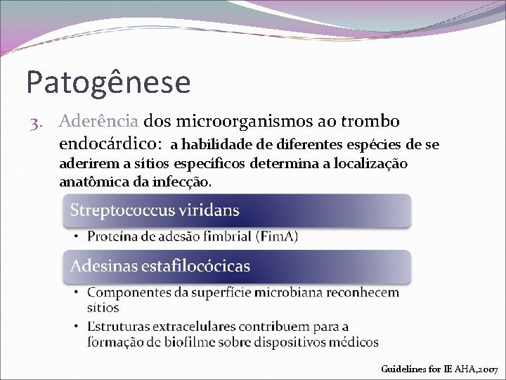 Patogênese 3. Aderência dos microorganismos ao trombo endocárdico: a habilidade de diferentes espécies de