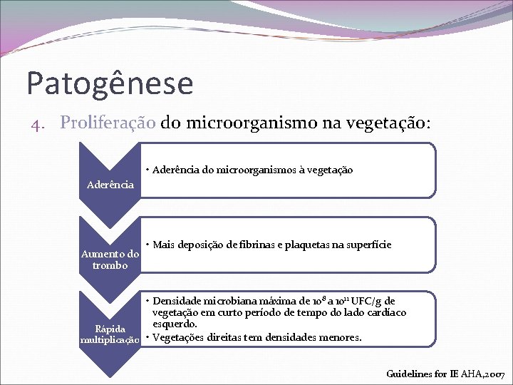 Patogênese 4. Proliferação do microorganismo na vegetação: • Aderência do microorganismos à vegetação Aderência