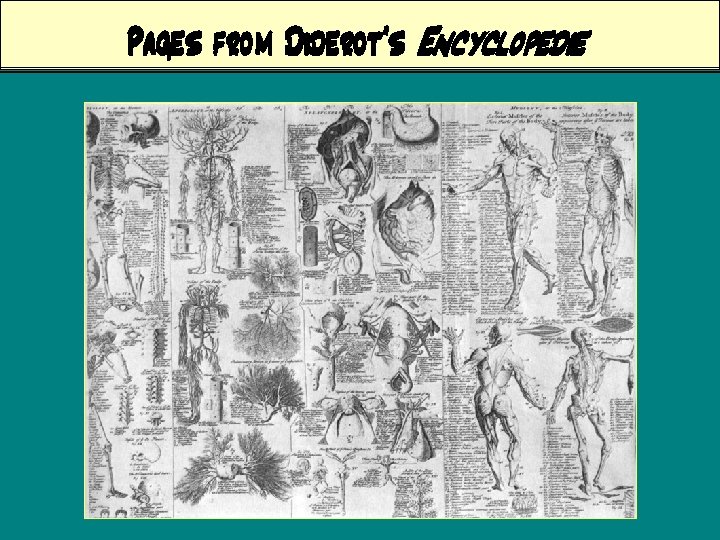 Pages from Diderot’s Encyclopedie 