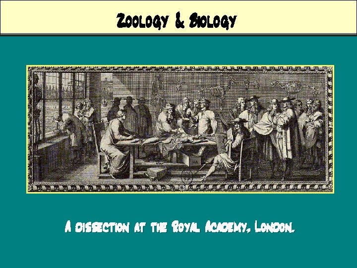 Zoology & Biology A dissection at the Royal Academy, London. 