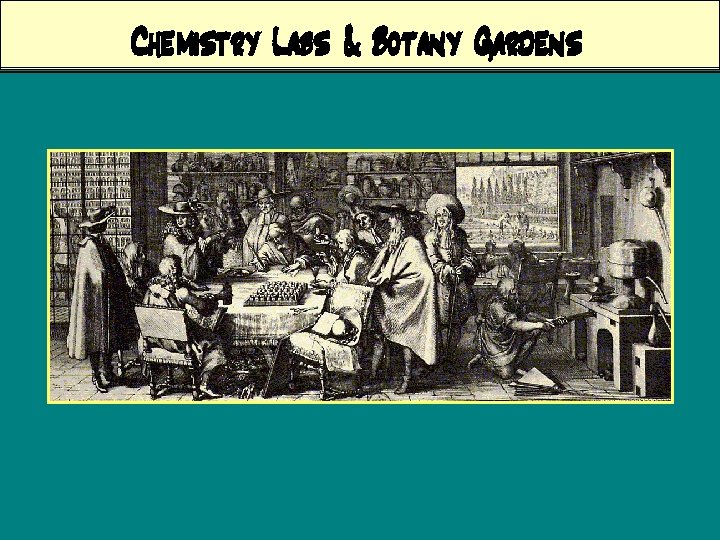 Chemistry Labs & Botany Gardens 